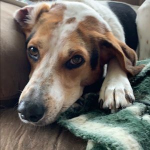 Meet your Posher, Jai